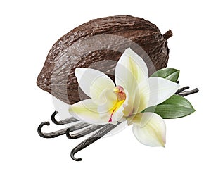 Cocoa pod and vanilla beans with flower isolated on white background. Package design element