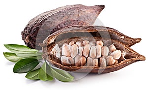 Cocoa pod