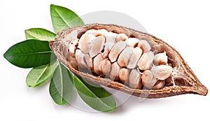 Cocoa pod