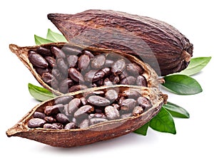 Cacao vainas 