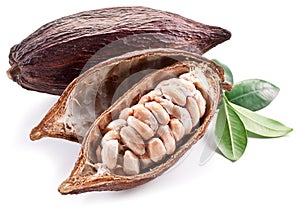 Cocoa pod