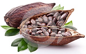 Cocoa pod