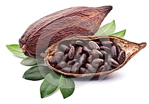 Cacao vainas 