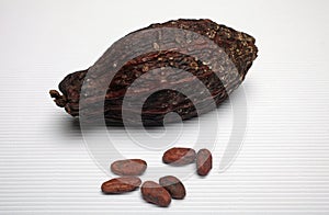 Cocoa pods and beans