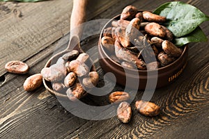Cocoa powder and cacao beans on wooden background. Dark chocolate pieces crushed and aromatic herbs .