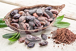 Cocoa powder and cocao beans. photo