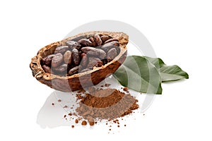 Cocoa powder and fresh roasted beans on white background