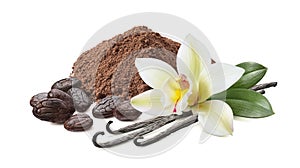 Cocoa powder, roasted beans and vanilla with flower isolated on white background