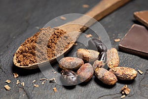Cocoa powder on a wooden spoon next to roasted peeled and unpeeled cocoa beans, chocolate shavings and chocolate squares on black