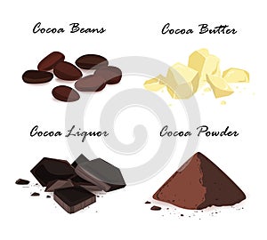 Cocoa products. Cocoa beans, cocoa butter, cocoa liquor and powder. Vector set.