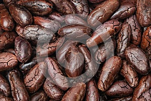 Cocoa roasted beans whole seed backed raw dark organic antioxidant