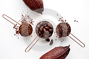 Cocoa beans, cacao nips, cocoa powder and cocoa pods photo