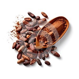 Cocoa seeds, cocoa powder and a teaspoon, isolated on white background.