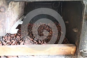 Cocoa seeds in a dehumidifier