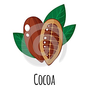 Cocoa superfood fruit for template farmer market design, label and packing. Natural energy protein organic food