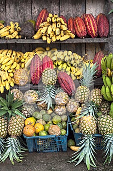 Cocoa surrounded by other tropical fruits