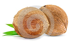 Cococnut isolated on white background