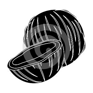 Coconat.Different kinds of nuts single icon in black style vector symbol stock illustration.