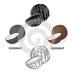 Coconat.Different kinds of nuts single icon in cartoon,black style vector symbol stock illustration.