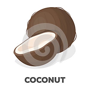 Coconat.Different kinds of nuts single icon in cartoon style rater,bitmap symbol stock illustration.