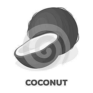 Coconat.Different kinds of nuts single icon in monochrome style vector symbol stock illustration.