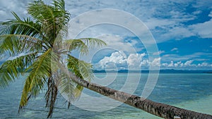 Coconat Palm on the Beach of Kri Island. Gam in Background. Raja Ampat, Indonesia, West Papua