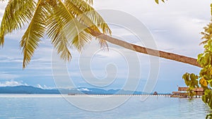 Coconat Palm on Kri Island, Homestay and Pier in Background. Raja Ampat, Indonesia, West Papua