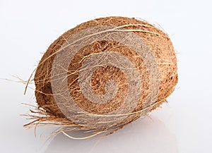 Coconut
