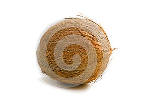 Coconut