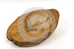 Coconut