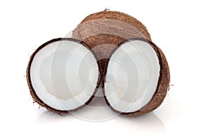 Coconut