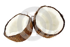 Noce di cocco 