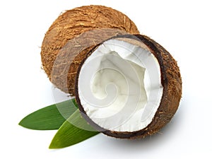 Noce di cocco 