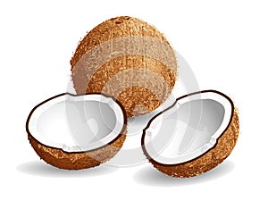 Coconut