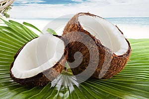 Coconut