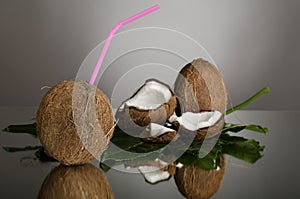Coconut