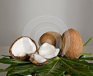 Coconut photo