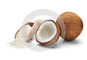 Coconut photo