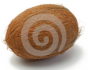 Coconut