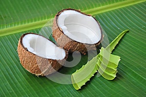 Coconut and aloe img