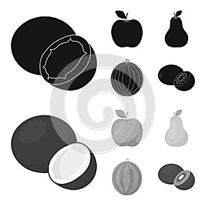 Coconut, apple, pear, watermelon.Fruits set collection icons in black,monochrome style vector symbol stock illustration