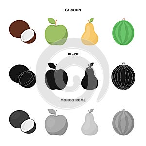 Coconut, apple, pear, watermelon.Fruits set collection icons in cartoon,black,monochrome style vector symbol stock