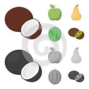 Coconut, apple, pear, watermelon.Fruits set collection icons in cartoon,monochrome style vector symbol stock
