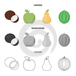 Coconut, apple, pear, watermelon.Fruits set collection icons in cartoon,outline,monochrome style vector symbol stock