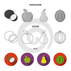 Coconut, apple, pear, watermelon.Fruits set collection icons in flat,outline,monochrome style vector symbol stock