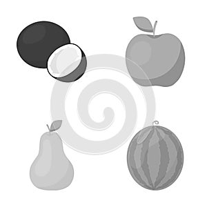 Coconut, apple, pear, watermelon.Fruits set collection icons in monochrome style vector symbol stock illustration web.