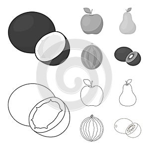 Coconut, apple, pear, watermelon.Fruits set collection icons in outline,monochrome style vector symbol stock