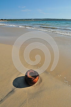 Coconut on a beach