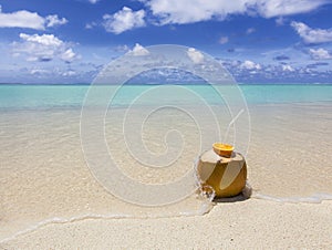 Coconut on the beach