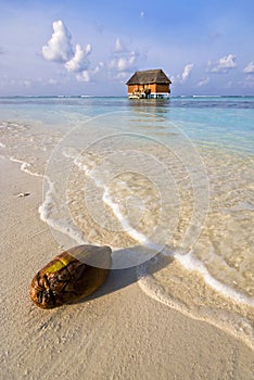 Coconut beach, Maldives